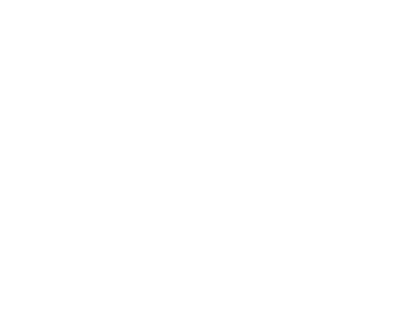 Camelot GmbH
